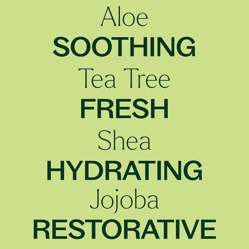 Plant Therapy Tea Tree Body Lotion - Hydrate & Nourish Skin with Aloe & Shea, 8 oz