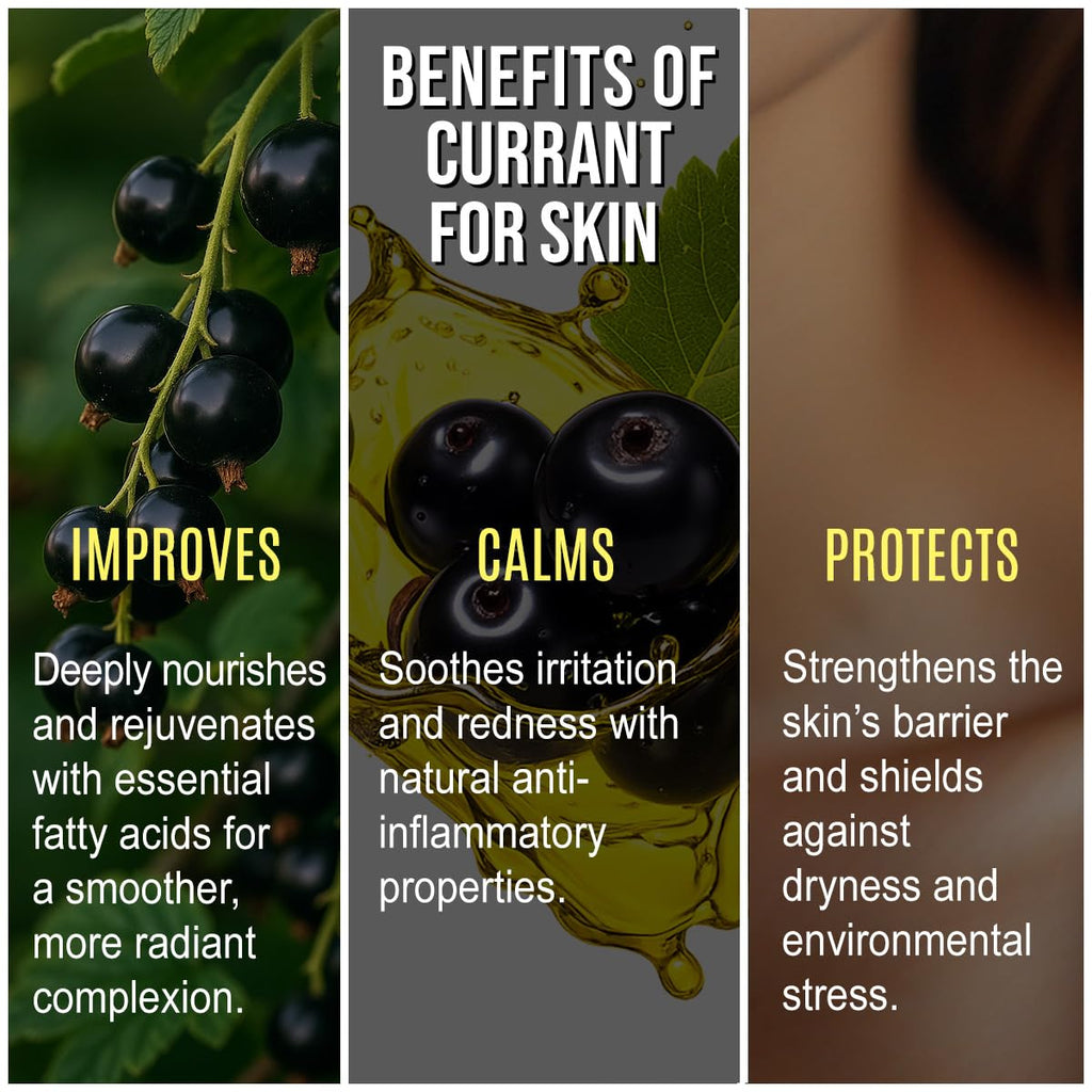 Renewalize Black Currant Seed Oil Cold Pressed – 100% Pure Natural Carrier Oil for Skin & Hair | Rich in GLA & Omega Fatty Acids | Moisturizer for Face, Scalp, Nails | 4 fl oz