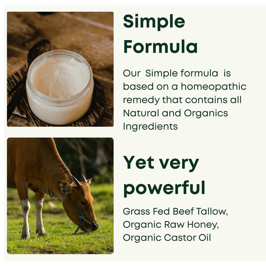 Florida Barn - Tallow Honey Balm, 2 oz, Organic Raw Honey & Castor Oil, Grass-Fed Beef Tallow, All-Natural Moisturizer for Dry and Sensitive Skin, Soothing Body and Face Cream