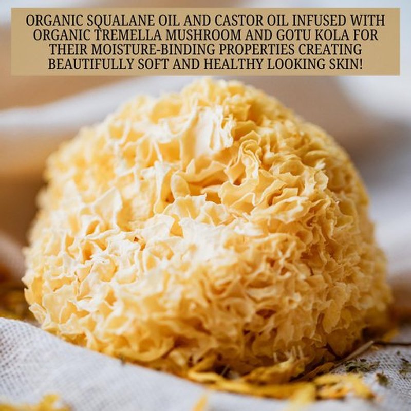 Emulsified Face Sugar Scrub, Organic squalane oil/Castor oil: Tremella Mushroom/Chamomile/Gotu Kola/Calendula/White Kaolin Clay, Manuka Honey-Gentle exfoliant-Dry/Sensitive/Mature skin (RENEW)