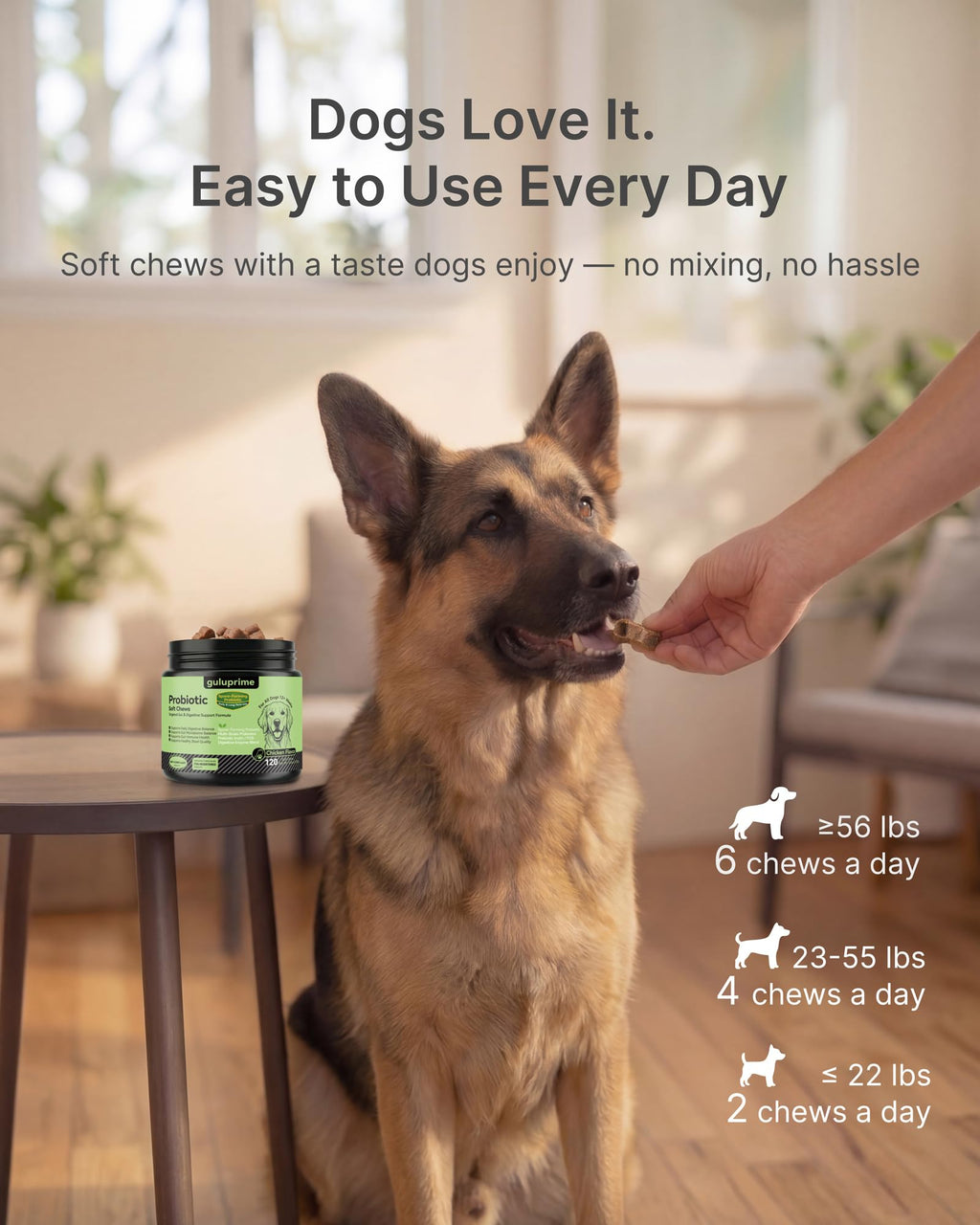 GuluPrime Probiotics for Dogs - Dog Probiotics Digestive Health Support, Dog Probiotic Chews with Spore-Forming Bacillus Coagulans, Prebiotic Inulin & Digestive Enzymes, Chicken Flavor, 120 Soft Chews
