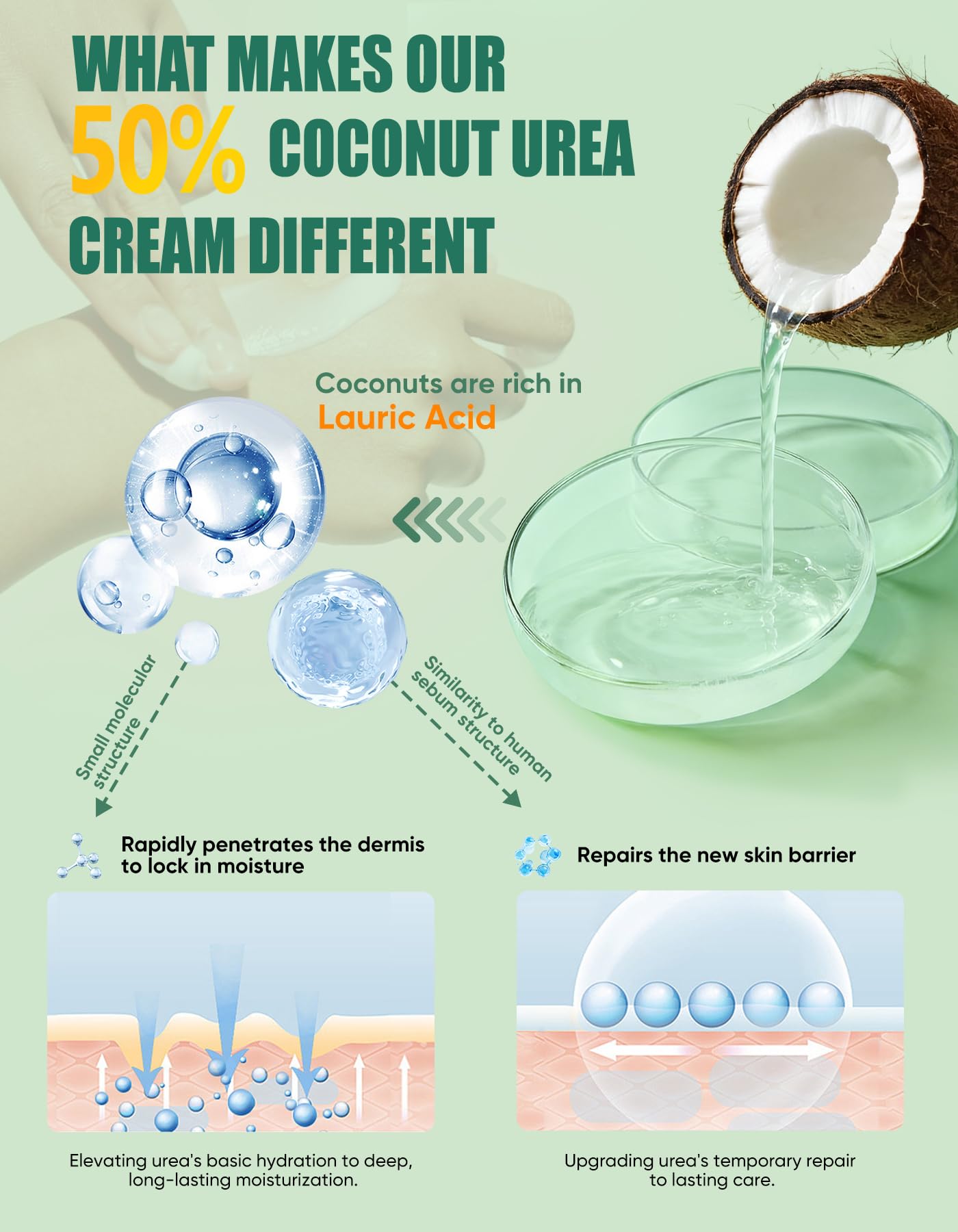 Urea Cream 50 Percent for Feet with Coconut 5.29 oz || Foot & Hand Cream Maximum Strength with 2% Salicylic Acid, Tea Tree and Aloe Vera for Deep Moisturizing and Callus Removing (Upgraded Formula)