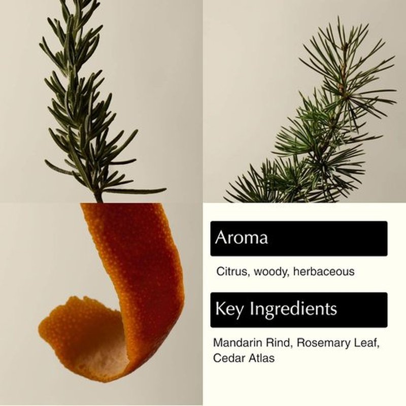 Aesop Resurrection Aromatique Hand Wash - Non-Drying Gel with Orange, Rosemary & Lavender Oils | 16.9oz / 500mL (Pack of 2)