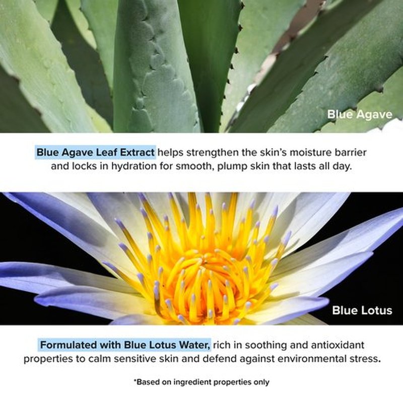 LOPOE Better Balance Ampoule - Facial Serum for Glass Skin, Blue Agave, Including panthenol. Skin Relief with Hyaluronic Acid, Soothing and hydrating, Vegan, Korean Skincare (1.69 Fl. Oz, 50ml)