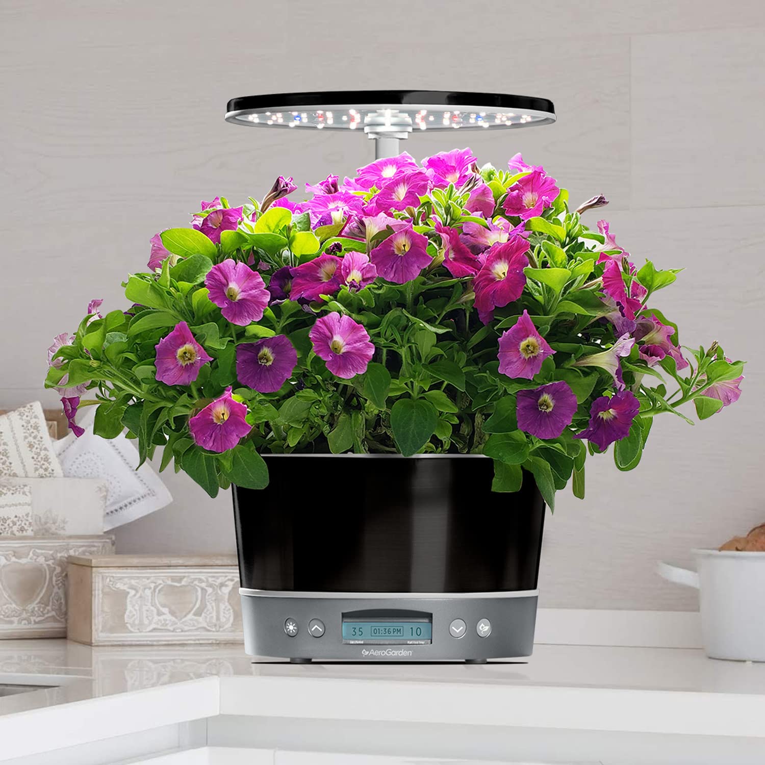 AeroGarden Harvest Elite 360, Platinum Stainless