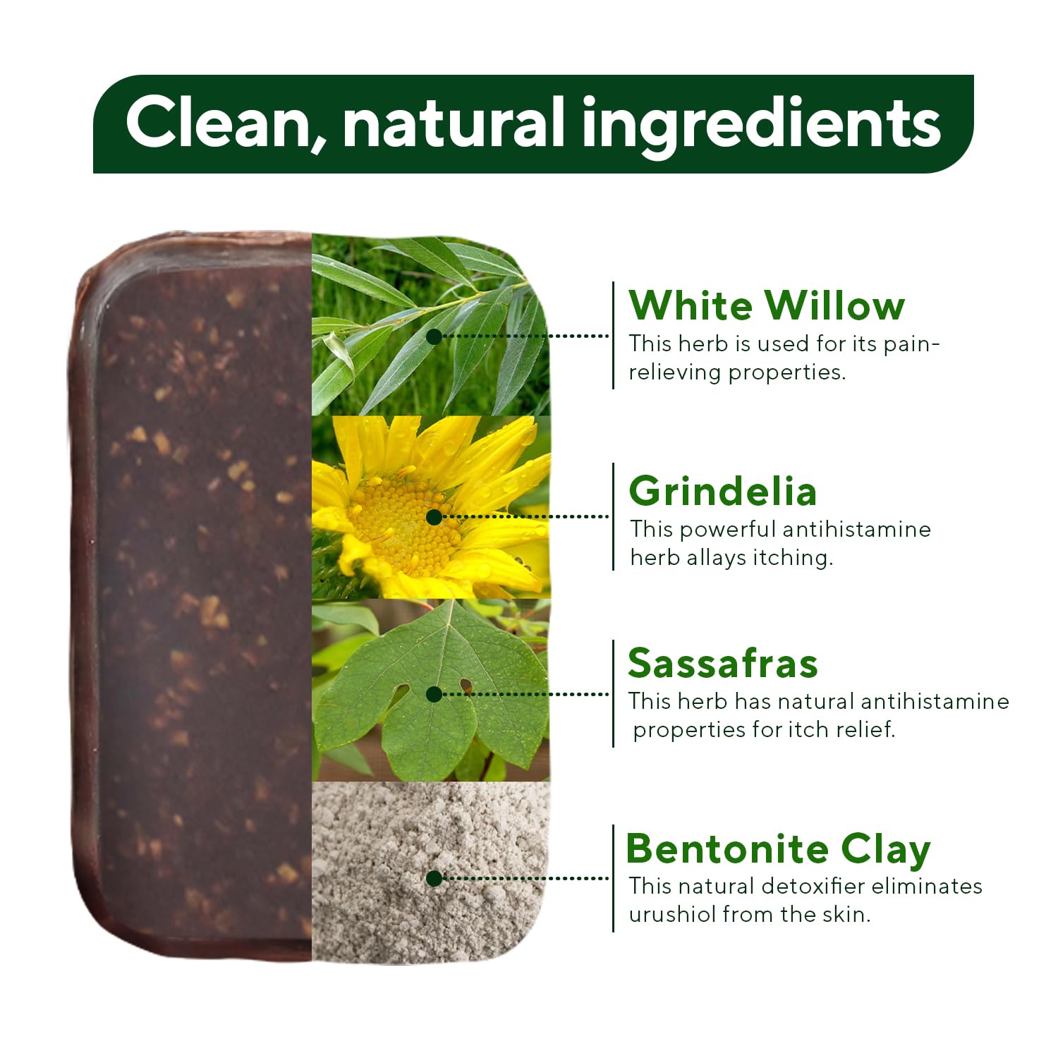 Marie Originals Poison Ivy Soap Bar | All Natural Poison Ivy Treatment | Anti-Itch Skin Cleanser Bar Wash for Poison Ivy, Poison Oak & Sumac | Soothes & Relieves Rashes | 2.9 Ounces (6 bars)