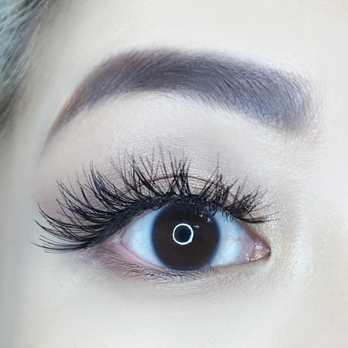 AOA Studio 6 Pairs Alexis Natural Handmade False Eyelashes with Glue and Tweezer Lash Kit Natural Volume Reusable Fake Eyelashes 100 Percent Handmade Cruelty Free