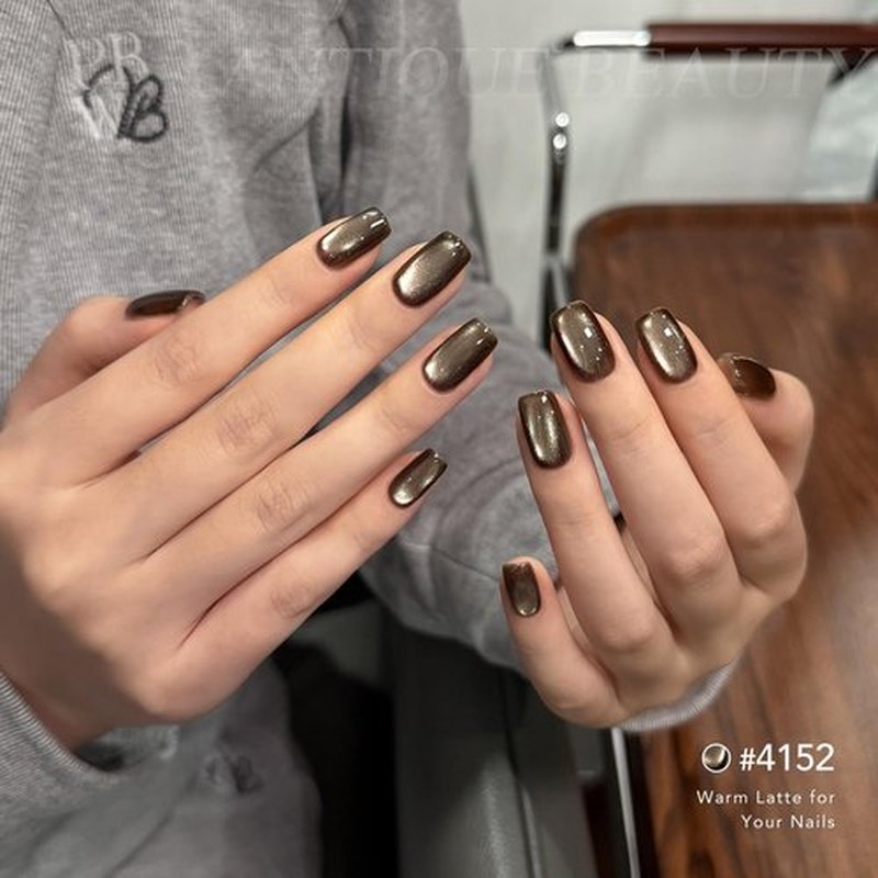 GAOY Cat Eye Gel Nail Polish Set - 6 Holographic Colors for Stunning DIY Nail Art | UV Soak Off