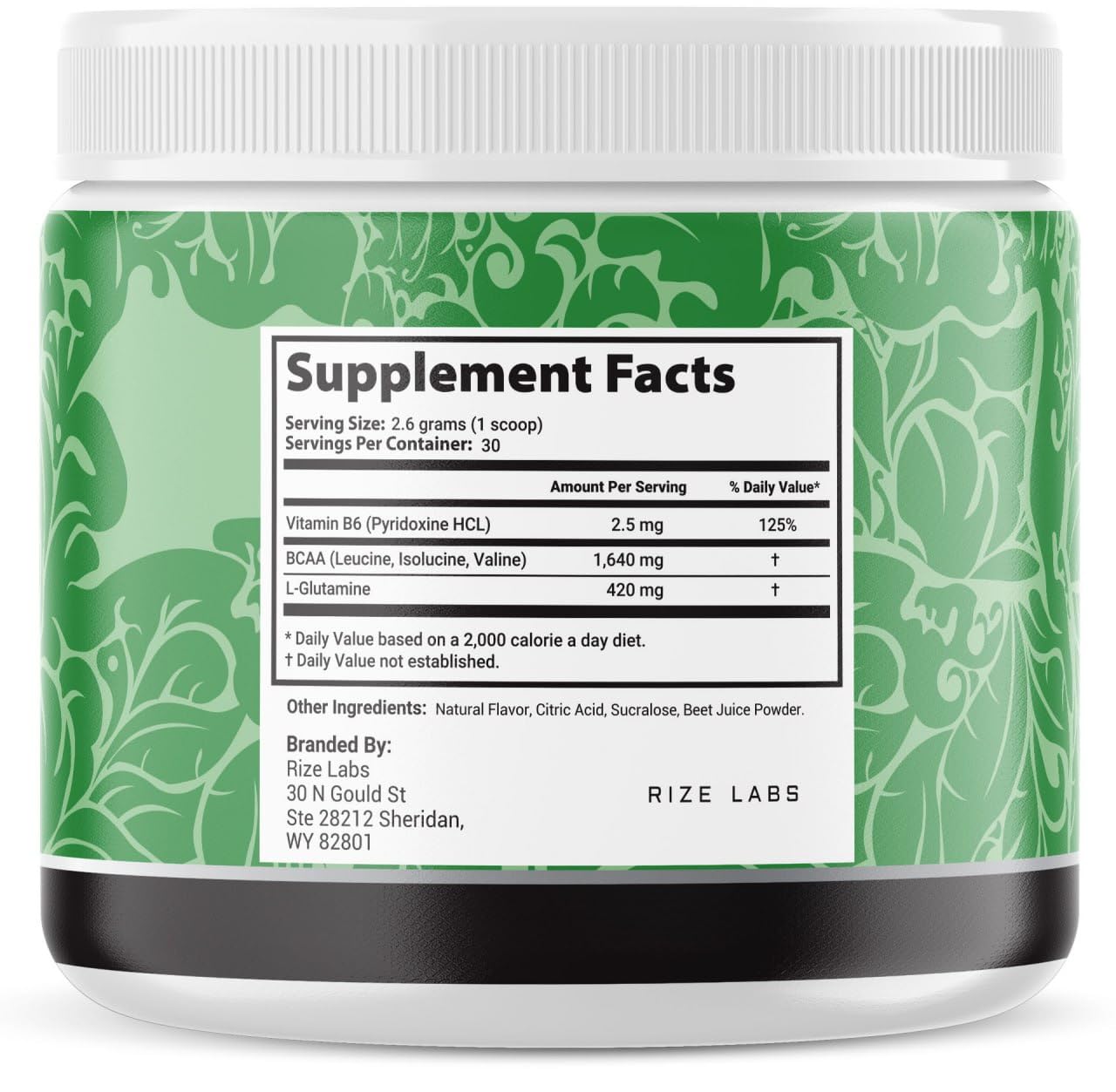 rize labs Fast Lean Pro, Official Fast Lean Pro Advanced Formula Supplement Reviews, FastLeanPro Hydration BCAA Drink Capsules in a Jar, Easy to Scoop and Tastes Great (90 Servings) (Pack of 3)