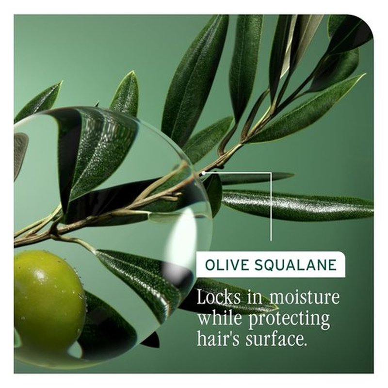 Biolage Strength Recovery Conditioner - Moisturizes & Strengthens Damaged Hair | Olive Squalane & Vegan Proteins