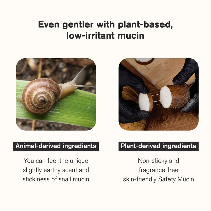 Urbanand Vegan S.Nailed it yam Essence, Vegan Korean Facial Serum with Vegan Snail Mucin, for Sensitive and Delicate Skin (50ml / 1.69 fl. oz.), Korean Skin Care