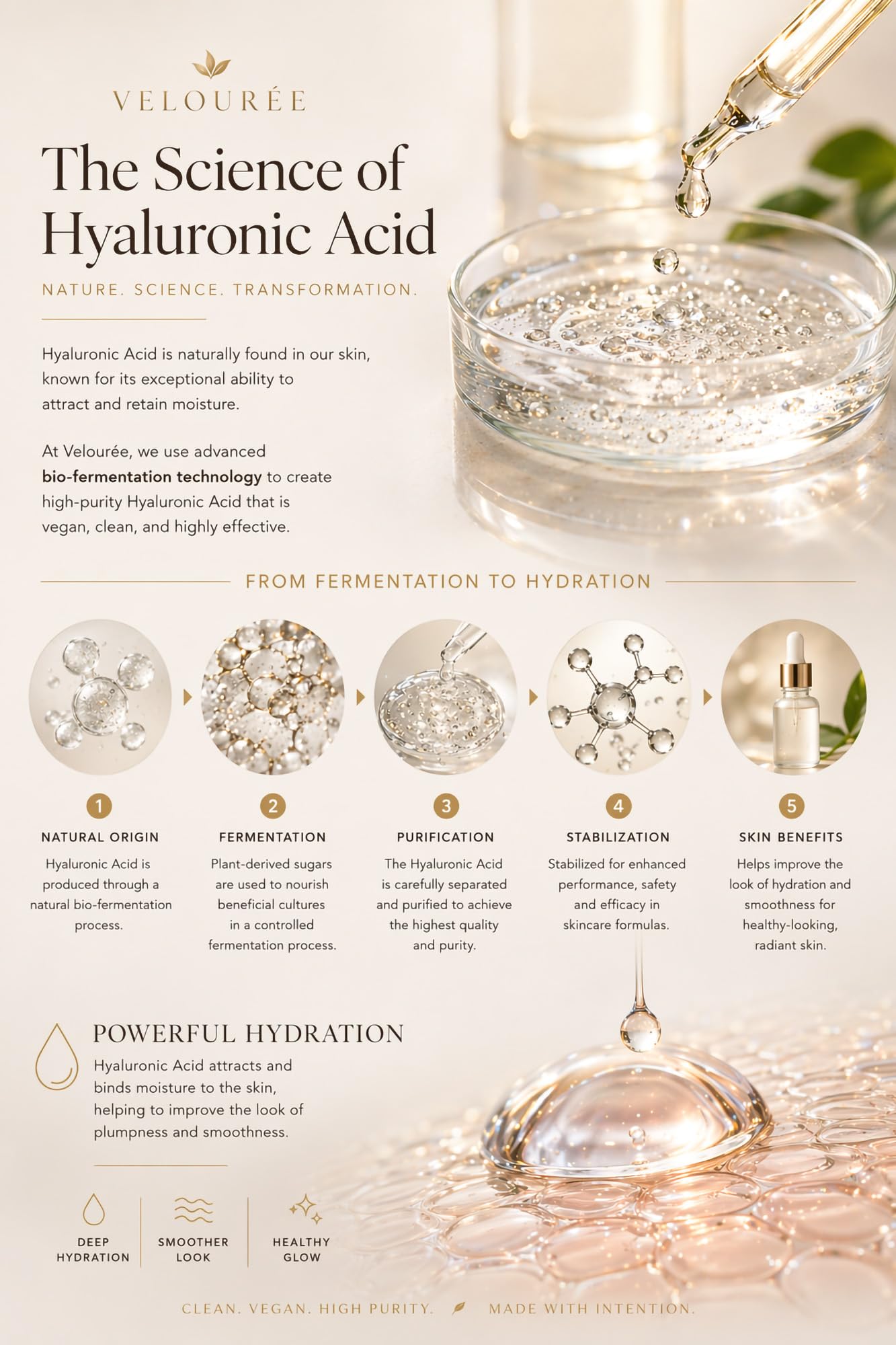 Hyaluronic Acid 2% + B5 (with Ceramides), Multi-Depth Hydration Serum for Plumper, Smoother Skin. Revive by Velourée