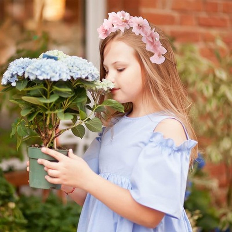HIFANMM Flower Headband Spring Summer Hair Accessories for Women Girls, Pink Rose Flowers Hair Bands Pearls Elegant Decoration Headdress Party Wedding Supplies Non Slip Head Band 1 Pcs
