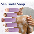 Baudelaire Loofa Duo Set - Exfoliating Sea & Grapefruit Soap Bars - Natural Fragrance - Hydrating & Moisturizing Triple-Milled Luxury - 10.5 Oz Each