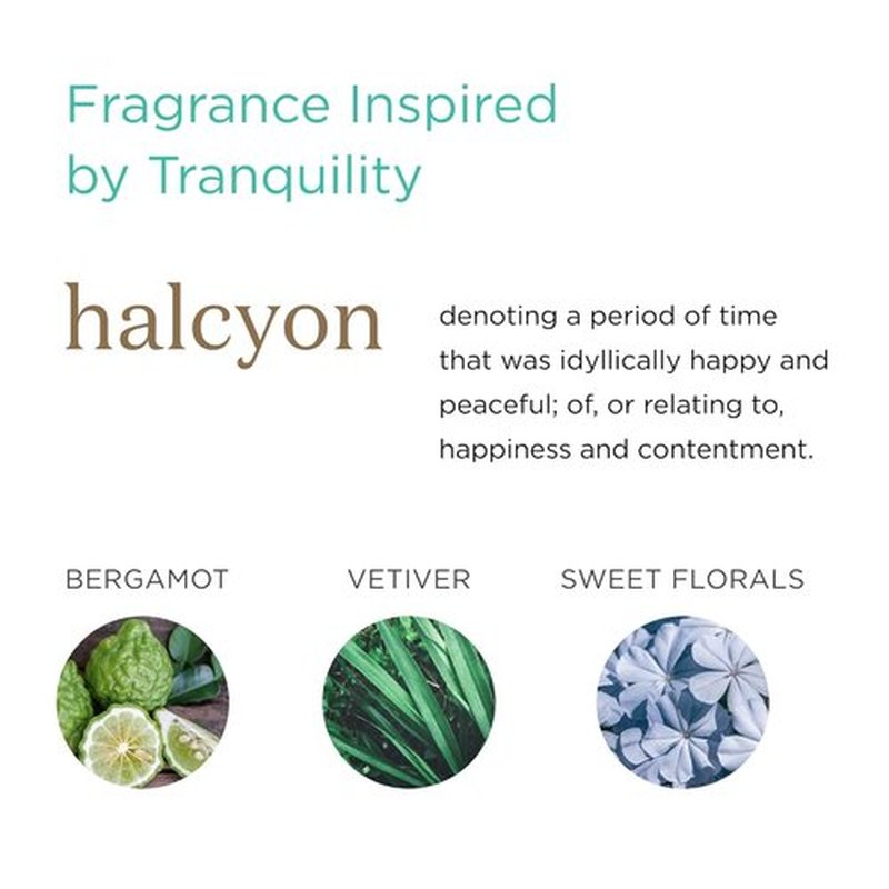 MKS Eco WOW Oilixir - Multi-Use Hair & Skin Oil, Halcyon Scent | 2 Fl Oz - Vegan & Cruelty-Free