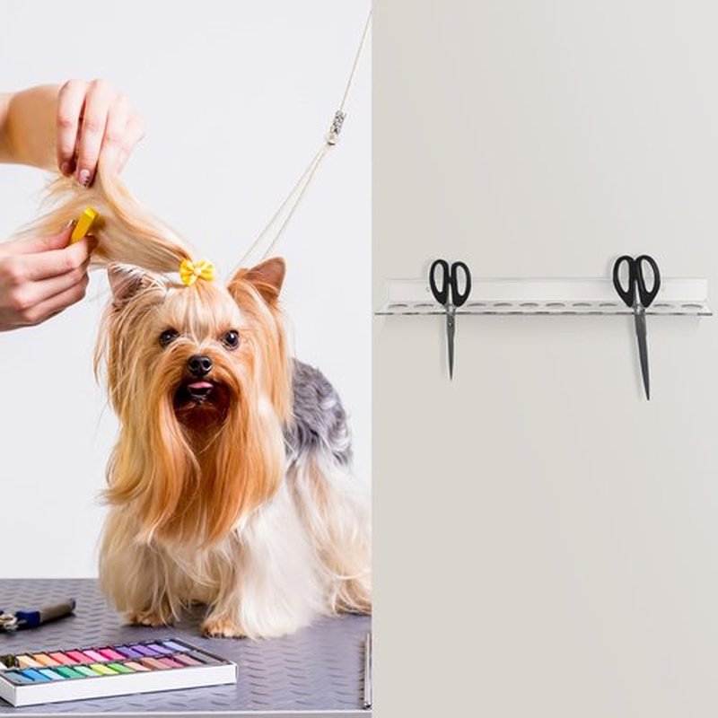 Briwooody 2 Packs 12 Slot Acrylic Wall Mounted Shear Holder Clear Scissors Holder Rack 15.75" Wide 0.12" Thick Shear Organizer with Hanging Screws for Dog Grooming Salon Hairdresser Barber storage