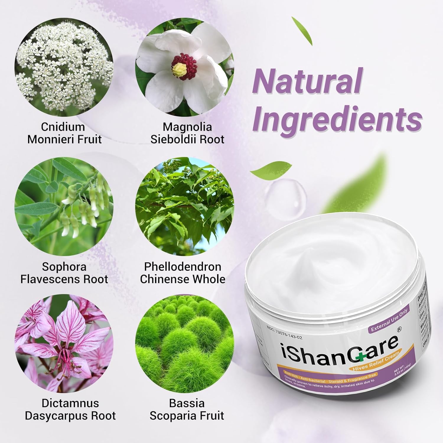 ishancare Urticaria Cream, Fast Acting Relief of Hives, Allergic Rashes, Itchy Skin, Redness, Swelling, Anti Fungal Hives Cream with All Natural Herbal Ingredients, 3.53 Oz