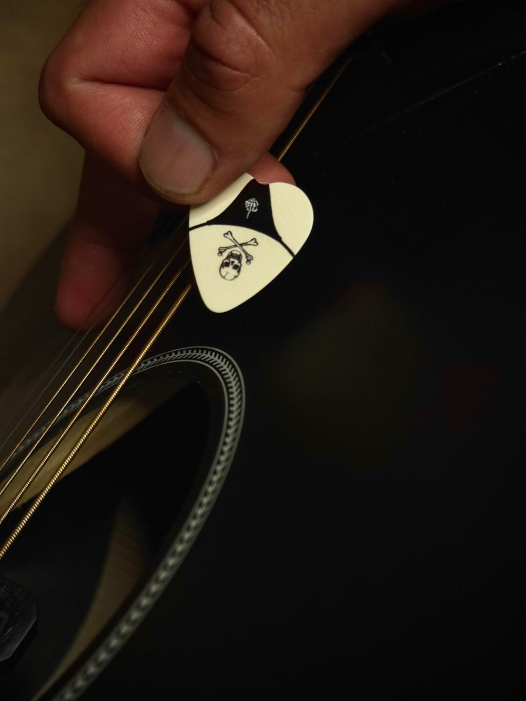BOOTY PICKS Premium Celluloid BOOTY themed Guitar Picks, BOOTY PICKS Variety Pack with Novelty Designs, Light (.46mm), Medium (.71mm), Heavy (.96mm), (6 count)