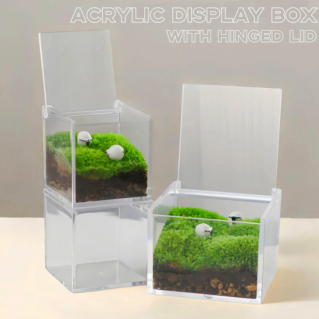KissYou Acrylic Boxes with Hinged Lid Small Lucite Boxes Clear Display Box for Birthday Wedding Graduation Party Decoration Plastic Storage Boxes