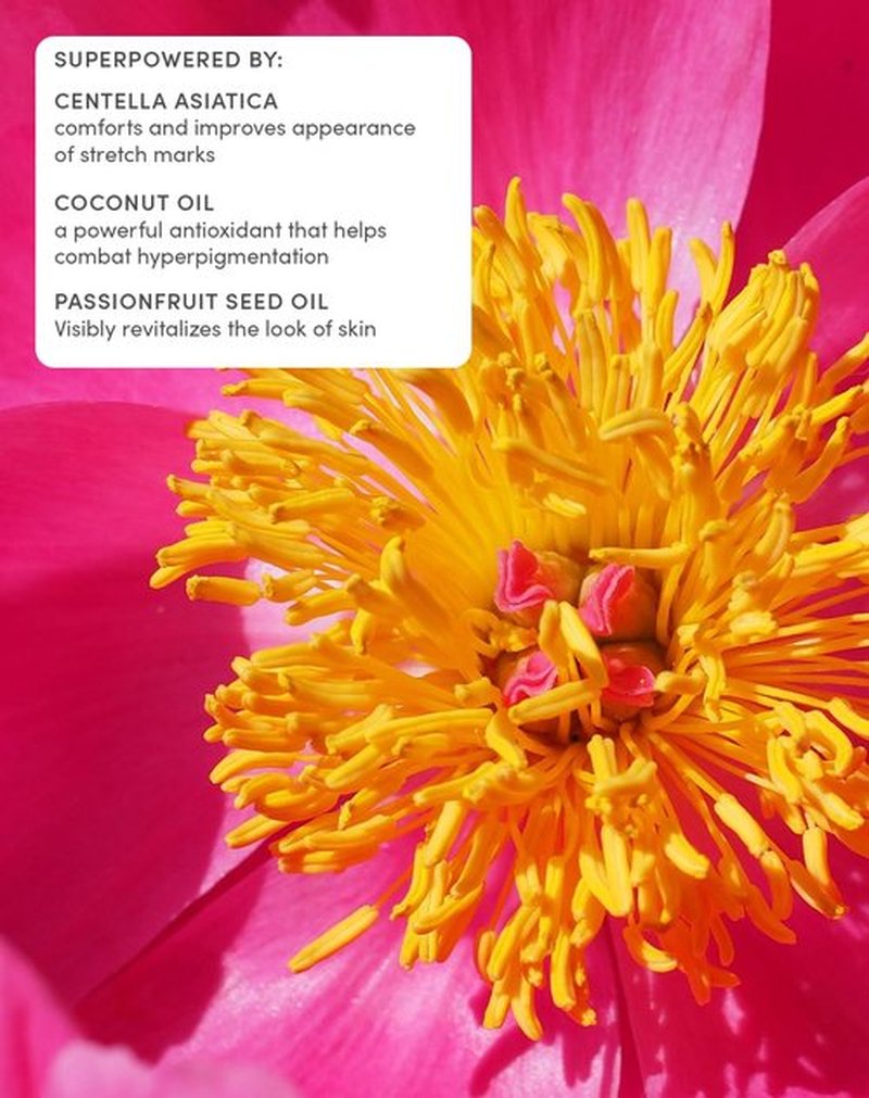 Evereden Petit Bouquet Belly Serum - Clean & Vegan Maternity Oil for Pregnancy | 1.7 fl oz Non-Toxic Stretch Mark Solution