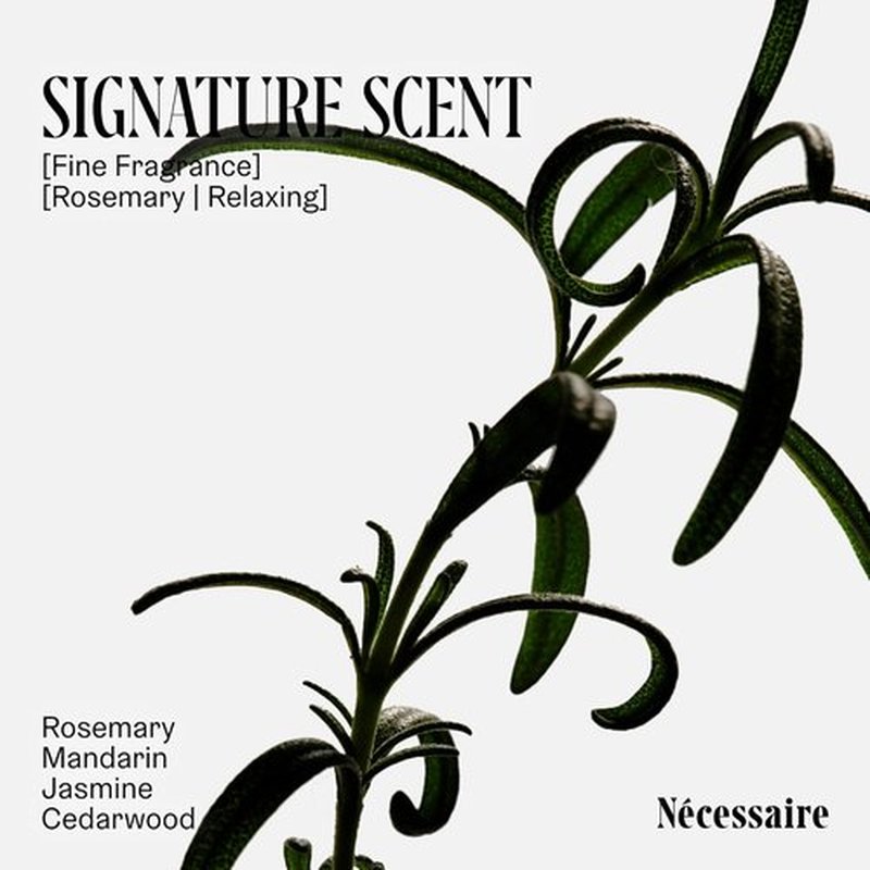 Nécessaire Rosemary Conditioner - Multi-Protein Strengthening Formula for Thinning Hair | 250 ml / 8.4 oz