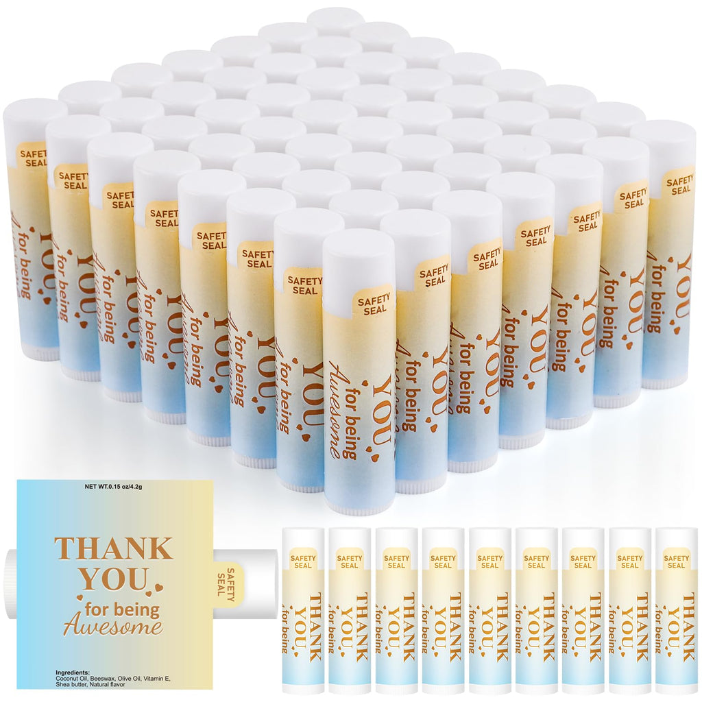 DMSKY Appreciation Gifts 60 Pcs Lip Balm Bulk, Staff Appreciation Gifts Bulk Thank You Gifts Bulk for Coworkers Teacher Worker Employee Leaving Farewell Gifts