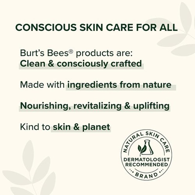 Burt's Bees Pomegranate Lip Balm - 100% Natural Moisturizer | 1 Tube for Soft, Hydrated Lips