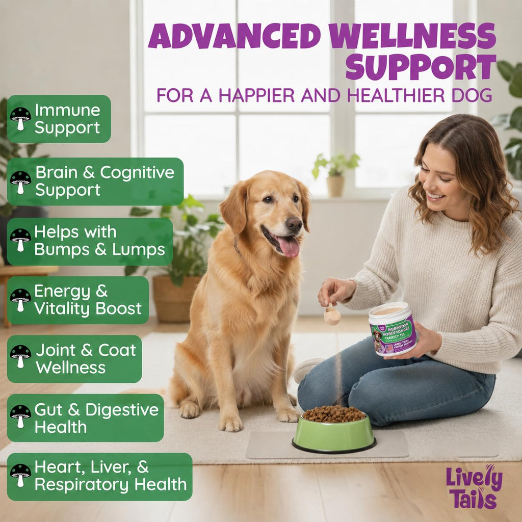 All-Natural Mushroom Powder for Dogs for Immunity, Cognition, Longevity, Bumps, and Lumps Support, Turkey Tail Mushroom for Dogs with Lion’s Mane, Reishi & Cordyceps, 4.25 oz Jar