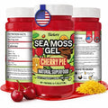 Biolore Sea Moss Gel - Cherry Pie Flavor, Vegan & Wildcrafted Superfood | 16 oz, No Added Sugar, Made in USA