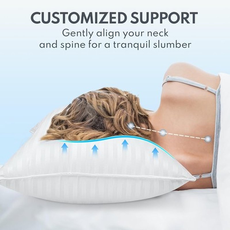 Regine Switzerland King Size Bed Pillows - Breathable Down Alternative Set of 2 for All Sleep Positions