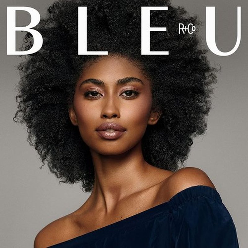 R+Co BLEU Smoothing Oil - Lightweight Formula for Sleek Style, High Shine & Tamed Flyaways