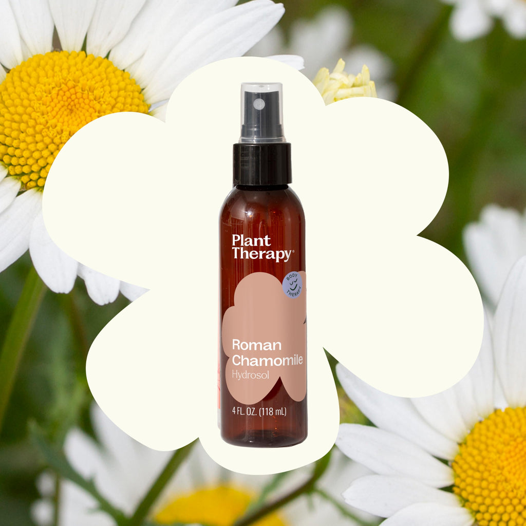 Plant Therapy Roman Chamomile Hydrosol, Size 4 oz, By-Product of Essential Oils, For Skin Care, Soothing, Calming, Grounding, Relaxing Water for the Mind and Body