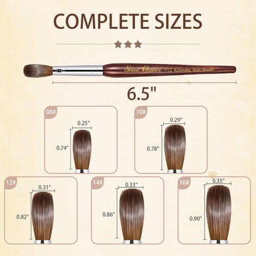 Shine Chance Acrylic Nail Art Brush - Size 16, 100% Pure Kolinsky Hair Oval Nail Brush for Professional Acrylic Application, DIY Home Salon