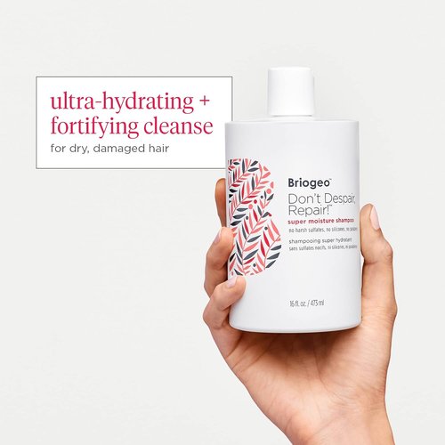 Briogeo Don't Despair, Repair! Super Moisture Shampoo - Moisturizing Argan Oil Formula for Dry, Damaged Hair | Vegan & Sulfate-Free