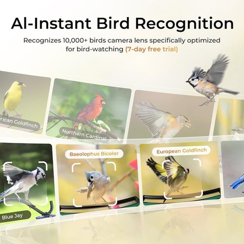 TT Nature Smart Bird Feeder - Solar-Powered Camera with AI Bird Identification & Squirrel-Proof Design | 3.2L Capacity, Green