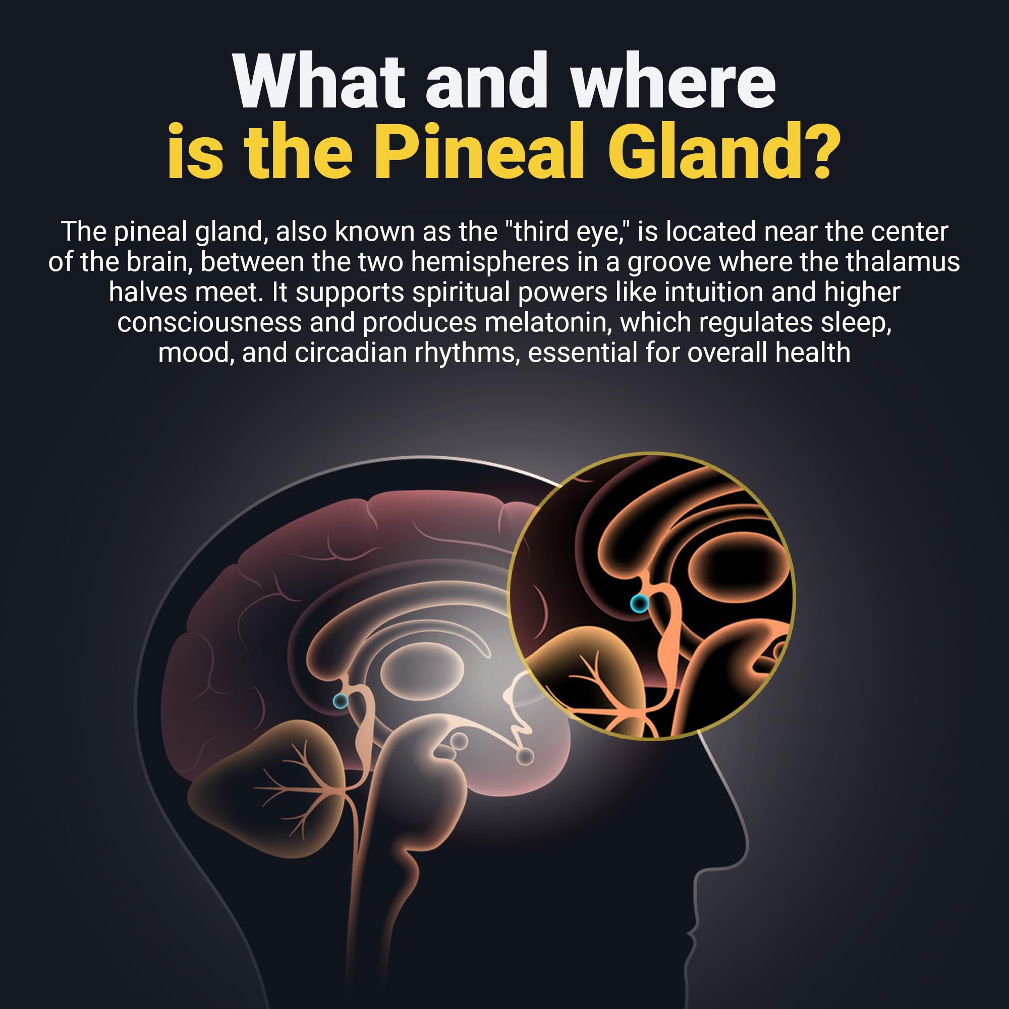 Kailash Herbals Pineal Gland Activation – Haritaki & Turmeric for Third Eye Awakening, Decalcification Support & Mental Clarity – King of Herbs – 5,000 Year Ayurvedic Formula – 100 Vegan Capsules