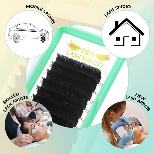 Easy Fan Volume Lashes D-0.07-15-20 MIX Easy Fan Lashes C D curl Flowering Lash Extensions Rapid Blooming Lashes 9 to 25 mm Mega Volume Lash Extensions .03 .05 .07 .10(D-0.07,15-20mix)