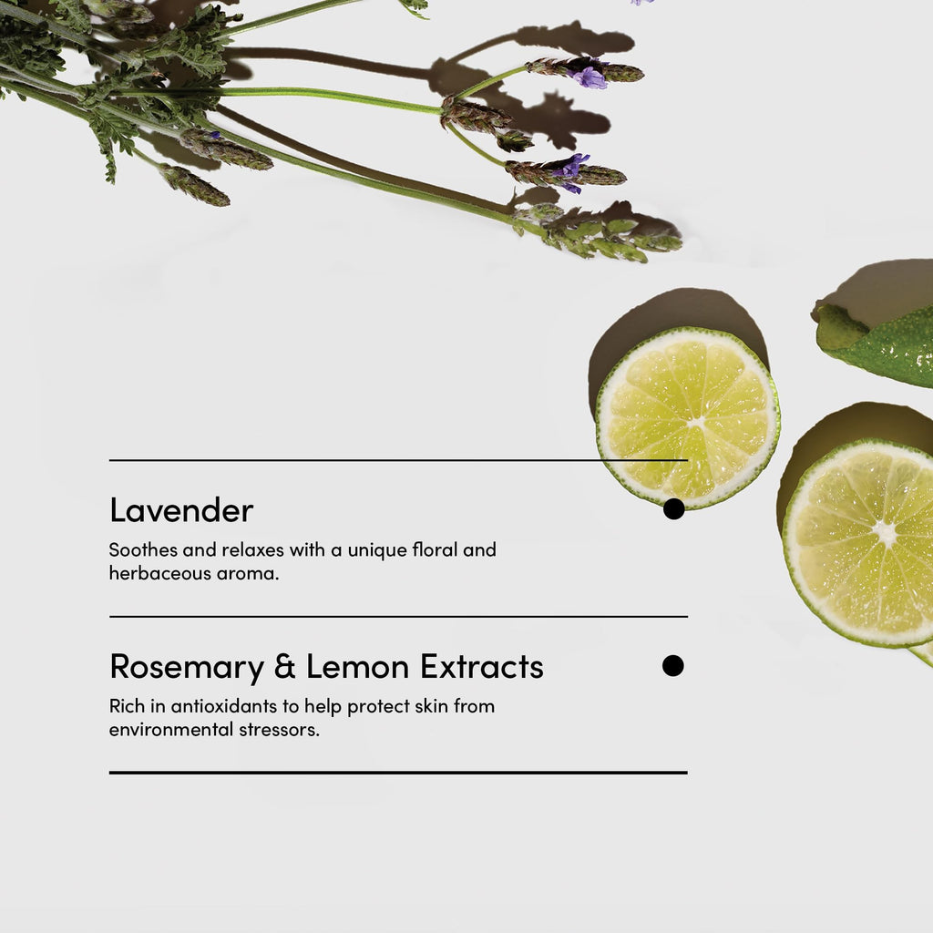 LATHER - Lavender Lime Natural Body Wash, 8 fl oz - Shower Gel Cleanser - Gentle Body Soap - Essential Oils - Chamomile, Ginseng, Rosemary - All Skin Types, Vegan, Cruelty Free - Beauty & Skincare