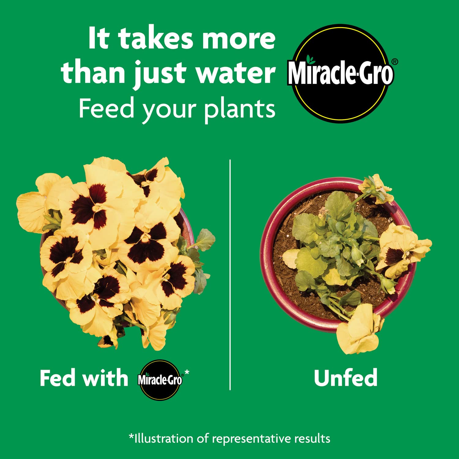 Miracle-Gro Shake 'N Feed All Purpose Plant Food, 4.5 lb.