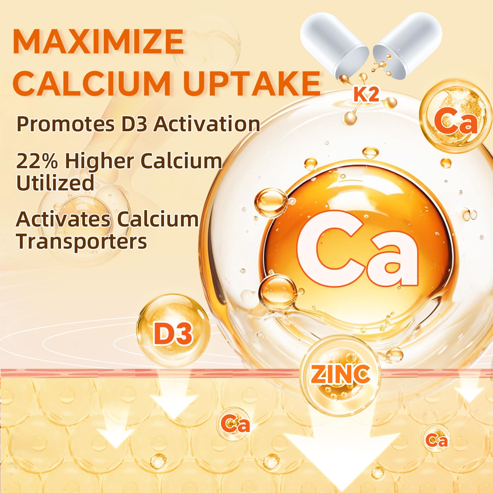 ZEBORA Vitamin D3 K2 with Zinc and Selenium - 5000 IU of Vitamin D3, 100 Mcg MK7 Vitamin K2 for Maximum Absorption, Supports Bones, Teeth & Immune Healt, 120 Capsules