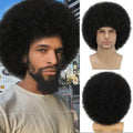 Sabosi Afro Wig for Men Short Fluffy Hair 70s Rock Disco Wigs for Male,Rocker Costume Mens Wigs Natural Looking Synthetic Hair for Halloween Party Daily Use