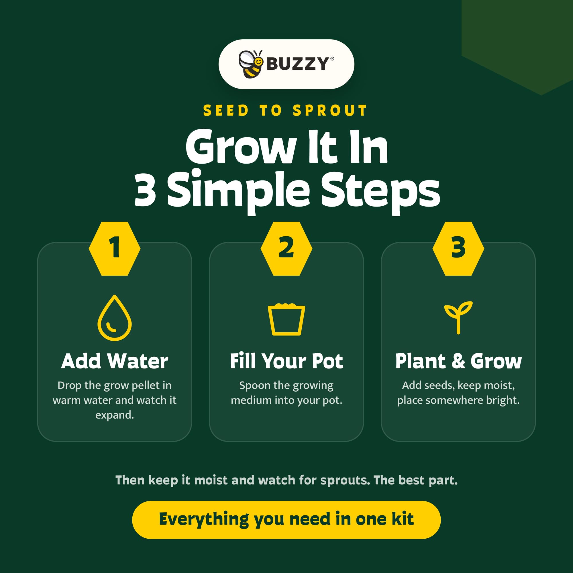 BUZZY Seeds Mini Ceramic Flower Bus Grow Kit 4-Pack - Bus Ceramic Planter - Complete Indoor/Outdoor Gardening Kit with Seeds, Coconut Husk Growing Medium & Genuine Pots - 100% Grow Guarantee