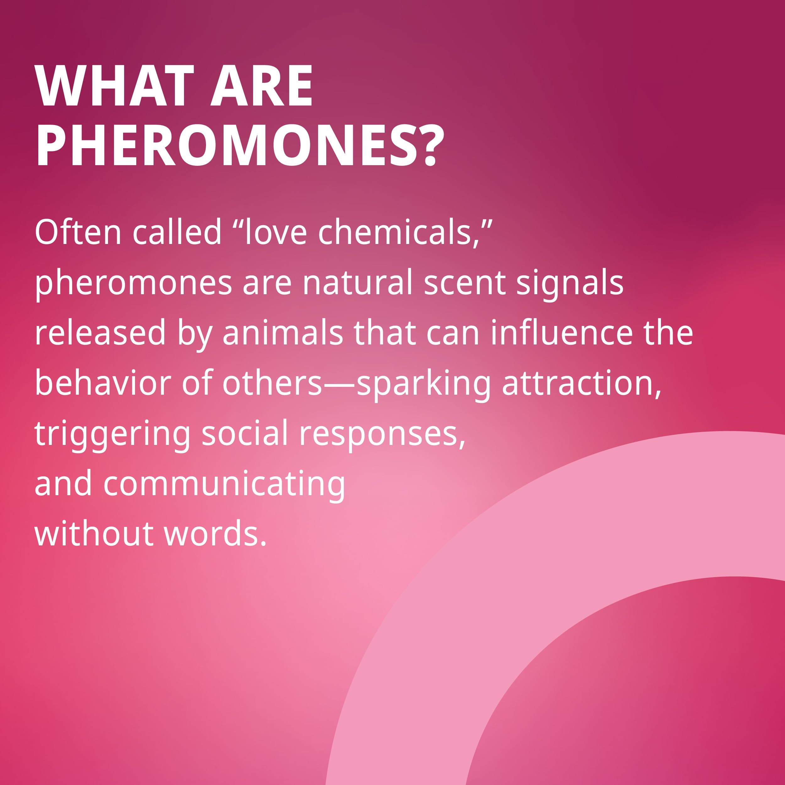 plusOne Pheromone Inspired Perfume Oil – Floral Vanilla Musk, 0.34 fl oz