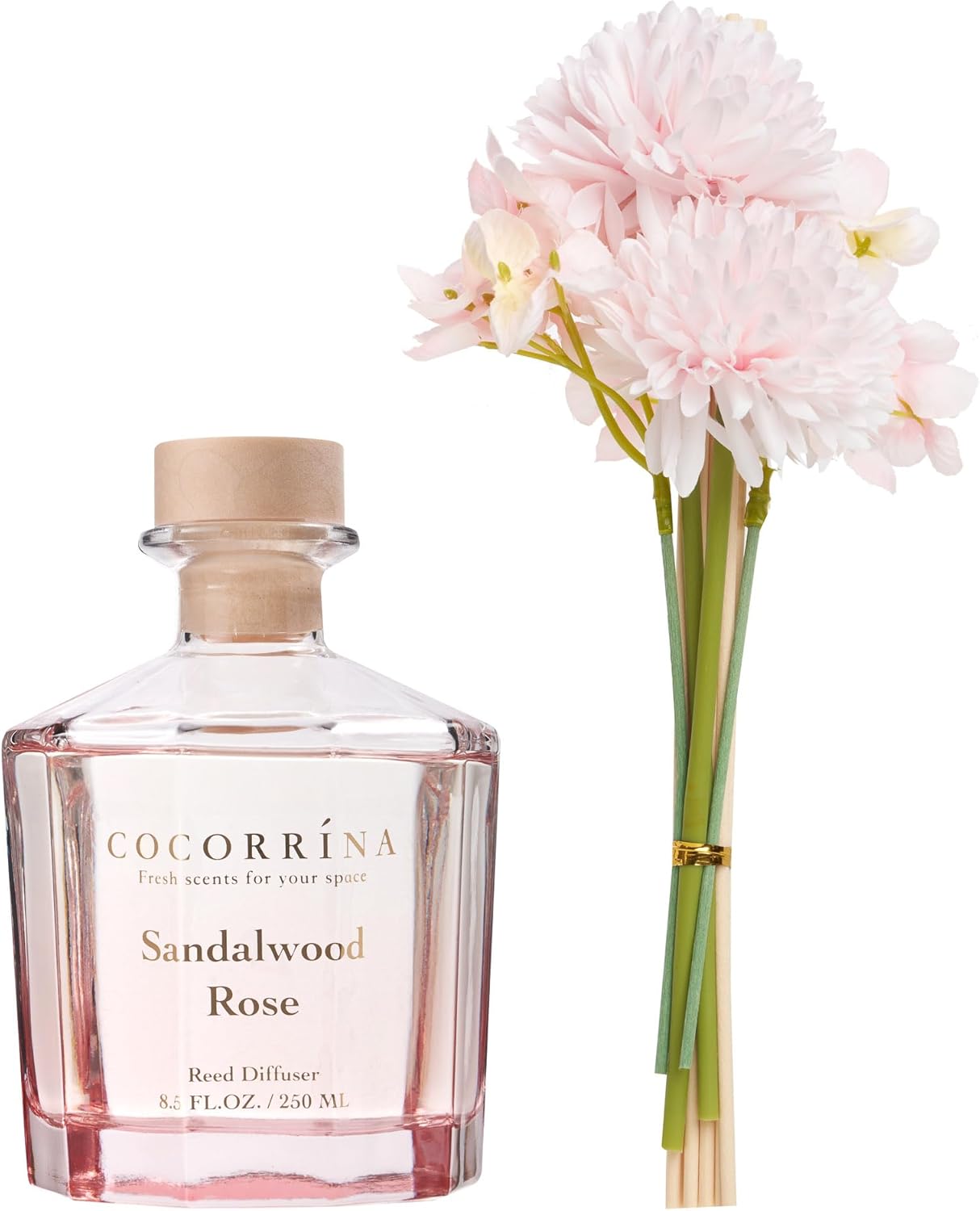 COCORRÍNA Reed Diffuser - Sandalwood Rose Home Fragrance Set | 8.5 Fl. Oz with 8 Sticks for Bedroom & Office Decor