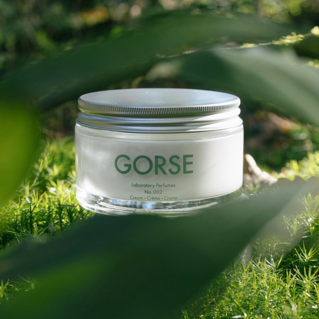Laboratory Perfumes Gorse Body Cream | Brightening Moisturiser with Vitamin C & Antioxidants | Infused with Gorse Fragrance (200ml)