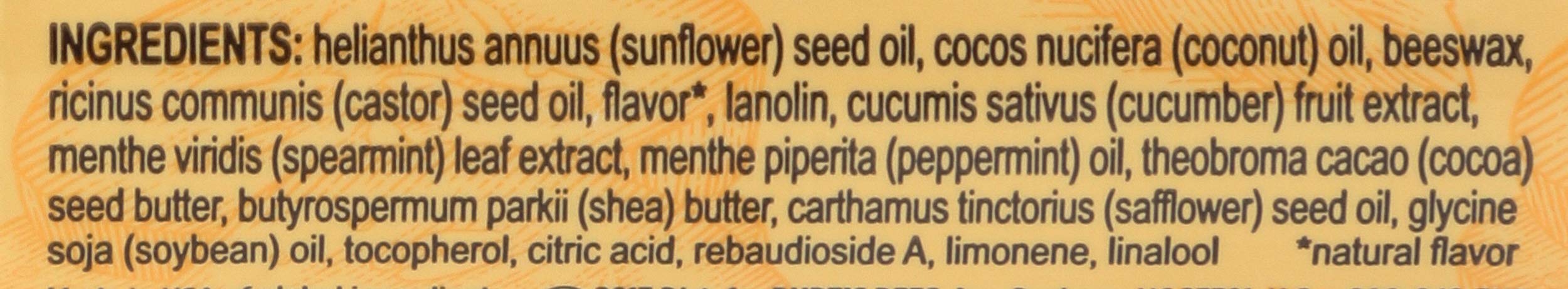 Burt's Bees Cucumber Mint Moisturizing Lip Balm for Women, Orange, 0.15 Oz