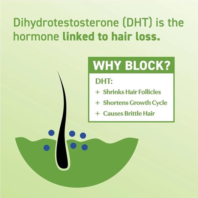 DHT·7 by Regine Switzerland - DHT Blocking Supplements with Saw Palmetto & Reishi Mushroom - 60 Capsules for Thicker, Fuller Hair