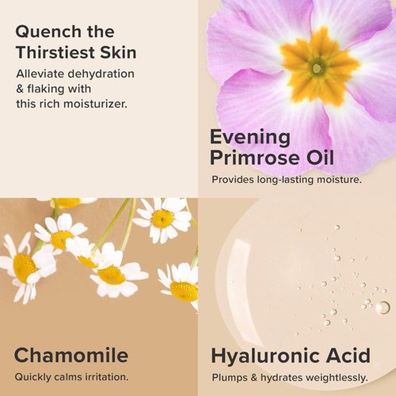 Paula's Choice SKIN RECOVERY Face Moisturizer - Daily Hydration with Hyaluronic Acid & Peptides | 2oz, Fragrance-Free for Dry Skin