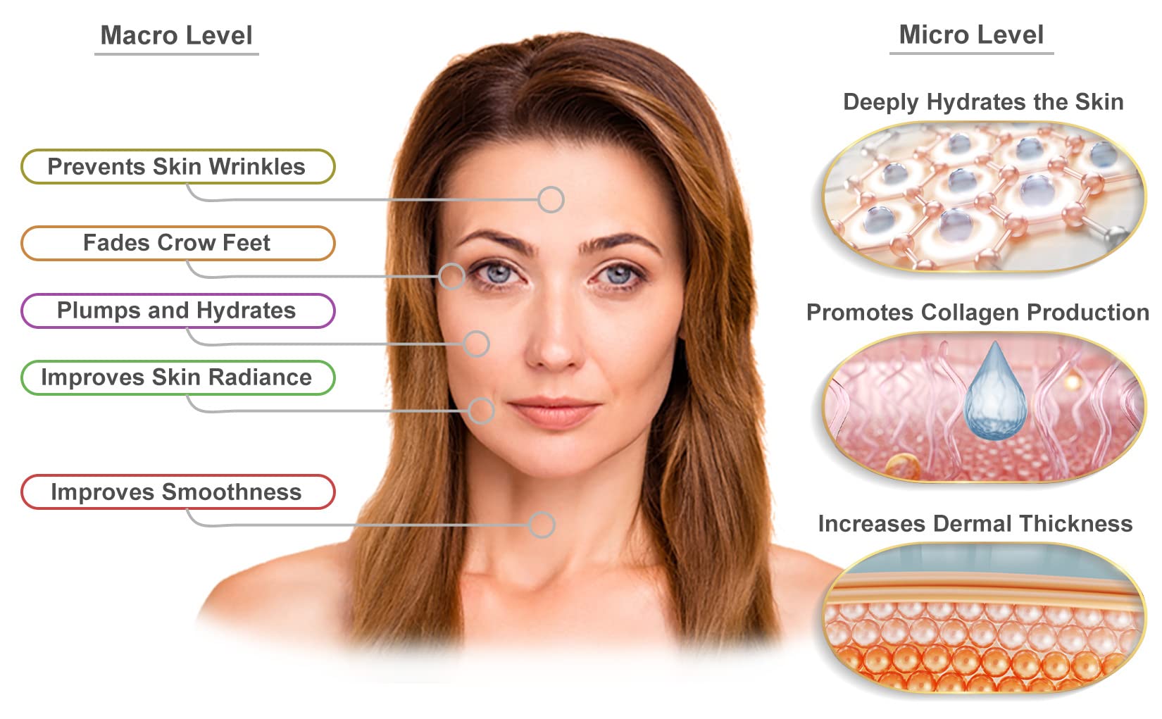 Visage Pure - Facial Spa"Dermal Thickening" Serum - Organic - Physician Formulated - Research Supported - Extra Nutrient and Vitamin C Charged Blend of Collagen, Hyaluronic Acid and Peptides