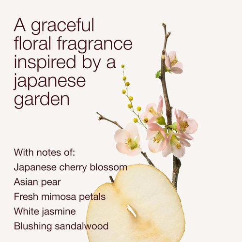 Bath & Body Works Japanese Cherry Blossom Fine Fragrance Mist - Long-Lasting Floral Body Spray, 8 fl oz | 2 Pack